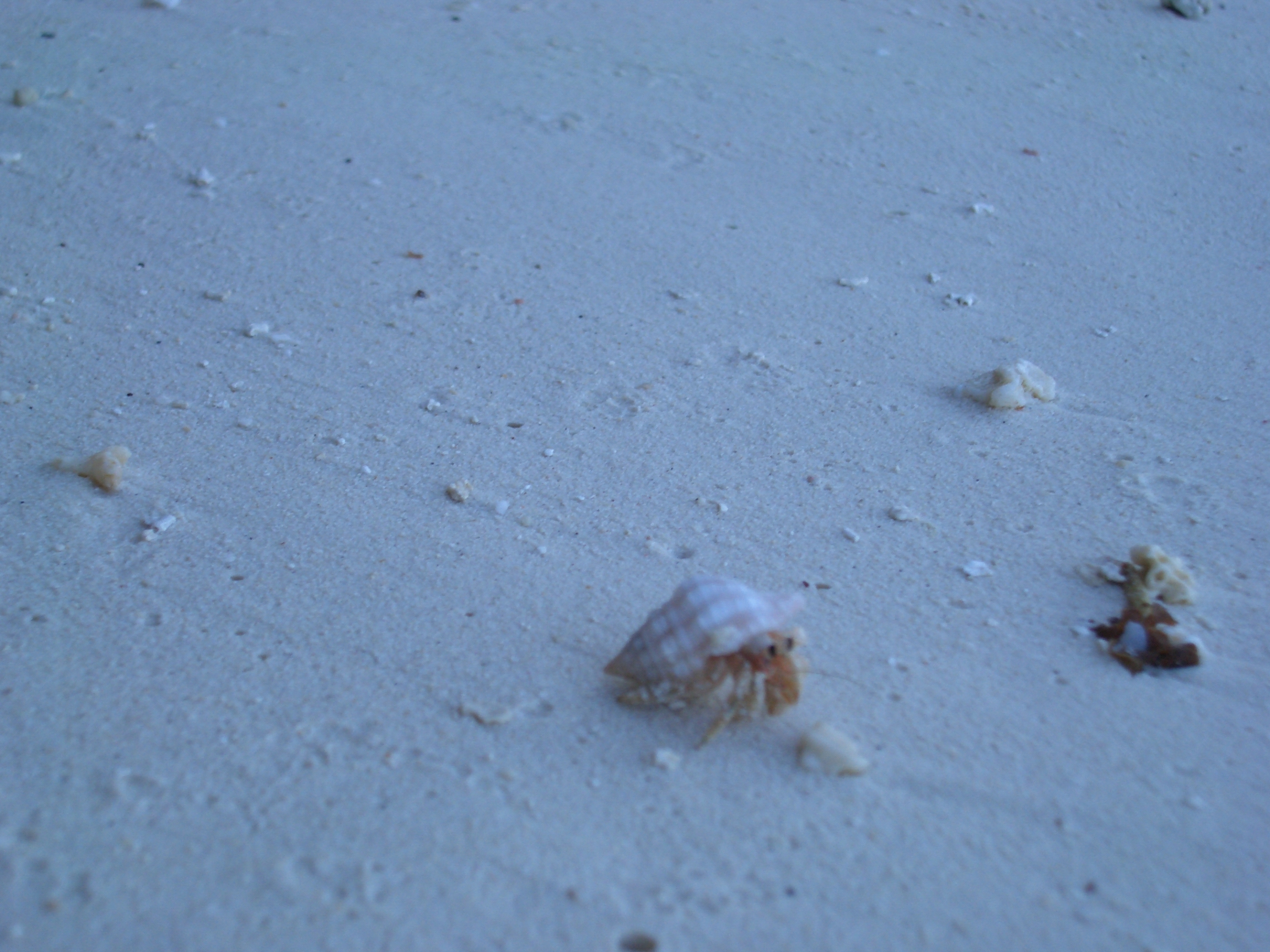 Community photo 1