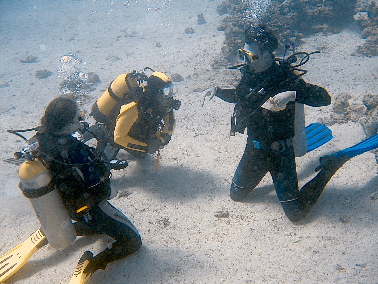 The Canyon divesite photo